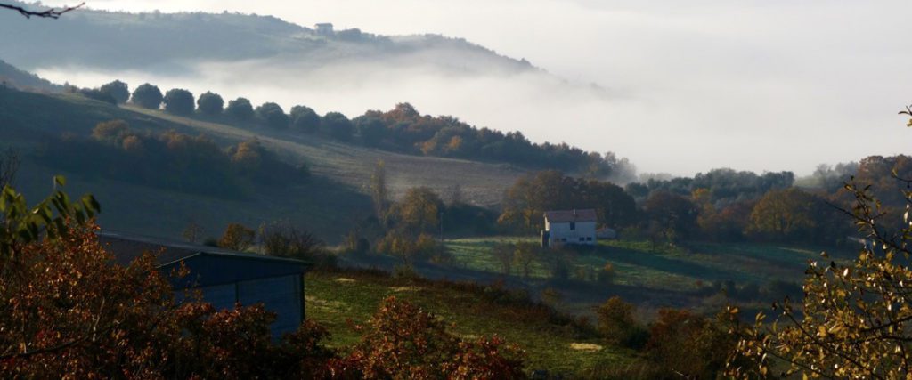 Mignone Valley