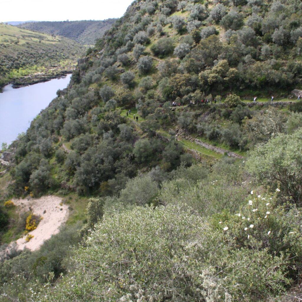 Telhada path where the transhumants have passed the Tejo river by boat for many centuries