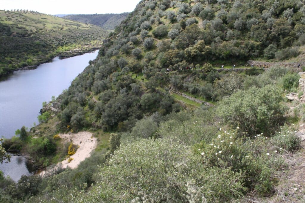 Telhada path where the transhumants have passed the Tejo river by boat for many centuries