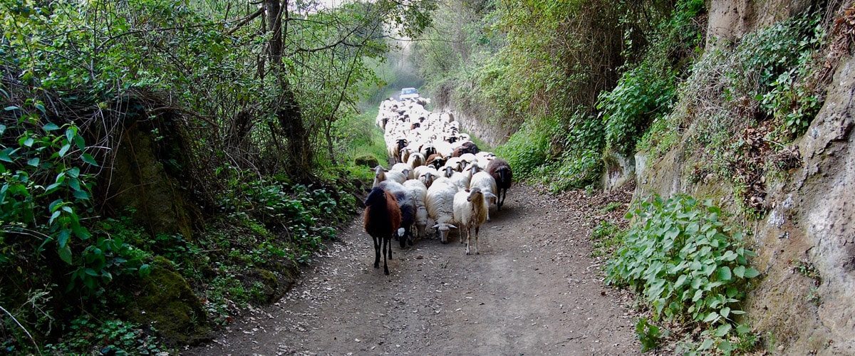 Sentiero Dogana di Blera